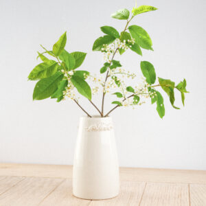 Wazon "Delikatność"